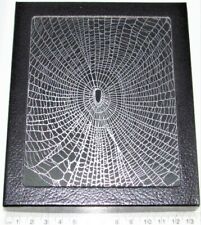 Orb weaver spider web framed preserved USA W20 picture