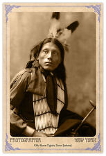 Kills Alone Oglala 1899 Vintage Photograph A++ Reprint Cabinet Card CDV picture