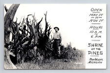 RPPC Shrine of the Pines Baldwin Michigan MI Postcard picture