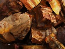 3000 Carat Lots of Unsearched Petrified Wood + a Free Faceted Gemstone picture