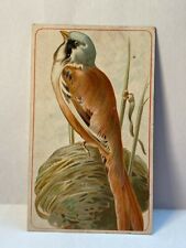 Arbuckle's VTG Coffee Card 1888/1889 Bearded Titmouse Bird by Hector Giacomelli picture