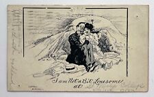 I am Not a Bit Lonesome at c.1906 Cartoon Comic Postcard picture