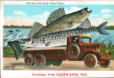 Postcard WI Exaggerated Fish In Truck Greetings From Edgewater Wisconsin c 1930s picture