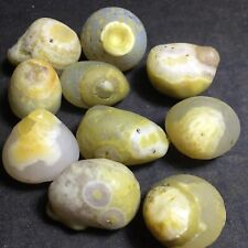 151g  Bonsai Suiseki-Natural Gobi Agate Eyes Stone-Rare Stunning Viewing 85 picture