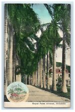 c1905 Royal Palm Avenue Dirt Road Aloha Nui Honolulu Hawaii HI Antique Postcard picture