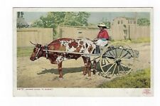 c1906 Detroit Photographic Postcard Grandma Going to the Market, Steer & Cart picture