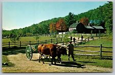 Pliny Freeman Farmhouse Old Sturbridge Village Forest Cows Vintage UNP Postcard picture