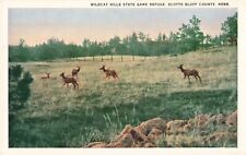 Wildcat Hills State Game Refuge Scotts Bluff County Nebraska NE c1930 Postcard picture