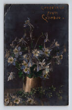 Columbine Flower Greetings from Columbine Colorado CO Real Photo Postcard picture