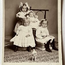 Antique RPPC Real Postcard Little Girls Boy Baby Sweet Toy Poodle Mondovi WI picture