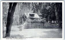 Postcard - Duck Pond, Clifton Springs, New York picture