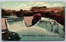 Postcard Dam and Falls, Trenton Falls NY U142 picture