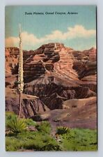 Grand Canyon National Park, Tonto Plateau, Vintage Souvenir Postcard picture