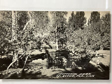 1930s St. Cloud, Florida Memorial Park RPPC Real Photo Postcard picture
