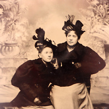 Old Antique Tintype Photo of Beautiful Women Mother Daughter Painted Backdrop picture