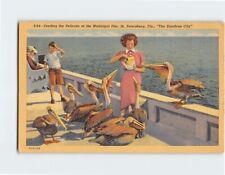 Postcard Feeding the Pelicans at the Municipal Pier, St. Petersburg, Florida picture