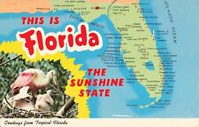Postcard This is Florida The Sunshine State Greetings from Tropical FL Map Card picture