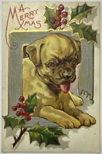 Pug Gold Etching Xmas Dog Series Early 1900s Christmas Postcard picture