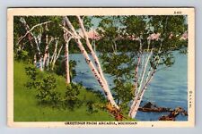 Arcadia MI-Michigan, Scenic Greetings, Antique Souvenir, Vintage c1942 Postcard picture