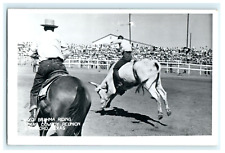 1962 Wild Brahma Riding Texas Cowboy Reunion Stamford TX RPPC Posted View picture