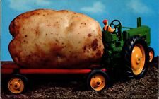 Postcard An Idaho Potato - Ridiculous Size - Tractor - Toy Models picture