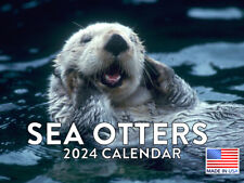 Sea Otter Wildlife Animal 2024 Wall Calendar picture