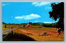 Postcard Vtg Vermont Farm Scene Dorset Poultney Red Barn Hay Field picture