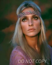 Sharon Tate Vintage ⭐Hollywood⭐ 1960s -  8X10 PUBLICITY PHOTO -  Celebrities picture