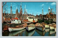 Gloucester MA-Massachusetts, Fishing Boats In Port Vintage Souvenir Postcard picture