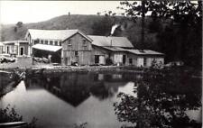 East Meredith, NY New York  HANFORD MILL~1895 View  1982 Museum Repro Postcard picture
