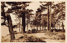 Lummi Island Road Scene RPPC Photo Postcard Car 1929 PM Whatcom Washington USA picture