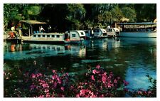 Florida's Beautiful Rainbow Springs Postcard With Boats and Families  # 566. picture