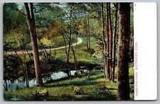 Hamilton Park Waterbury Connecticut Country Road Creek Reflections VNG Postcard picture