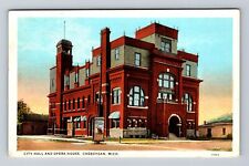 Cheboygan MI-Michigan, City Hall & Opera House, Antique, Vintage Postcard picture