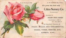 CHICO NURSERY COMPANY ROSE FLOWER CHICO CALIFORNIA TRADE CARD (c.1880s) picture