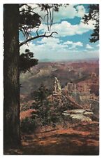 Grand Canyon National Park Arizona c1950's North Rim scenic view picture