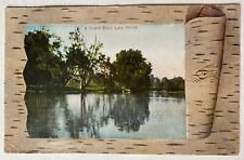 Antique Postcard A Shady Spot Lake Pepin 1909 picture