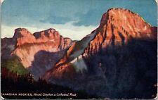 Canadian Rockies Mount Stephen Cathedral Peak View Burgess Pass Postcard picture