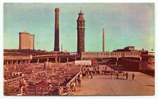 Chicago IL Stock Yards Cattle Postcard Illinois picture