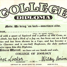 Vintage 1941 Zoology College Diploma Humor Funny Blotter Postcard picture