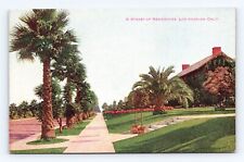 Old Postcard California Bungalow Street View Residence Flowers Los Angeles 1930s picture