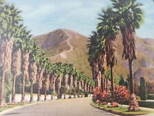 C 1940 A Typical Palm Lined Residential Street Drive Pasadena CA Linen Postcard picture