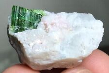 Beautiful Tourmaline Crystal Specimen from Afghanistan 54 Carats (A) picture
