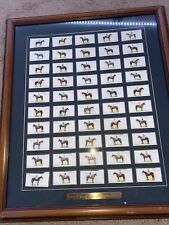 1933 PLAYER-DERBY & GRAND NATIONAL WINNERS-HORSE RACING-FULL 50 CARD Framed picture