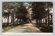 Holley NY-New York, Residences On White Street, Antique, Vintage Postcard picture