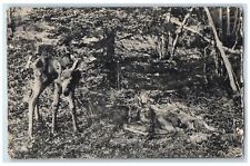 1927 Baby Moose Newly Born Woods Forest Animals Fort Yukon Alaska AK Postcard picture