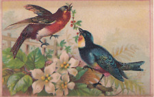 1800s Victorian Trade Card -Beautiful Birds Flowers picture