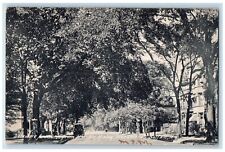 1907 Delaware Avenue from the Mckinley Monument Buffalo New York NY Postcard picture