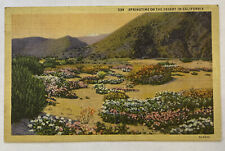 Vintage Linen Postcard, Springtime View of Desert in California picture