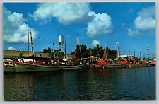 Tarpon Springs Florida Sponge Boat Fleet Scenic Docks Chrome UNP Postcard picture